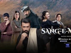 Top 10 Pakistani Dramas in 2021 – 2022 (Updated List) sang-mah